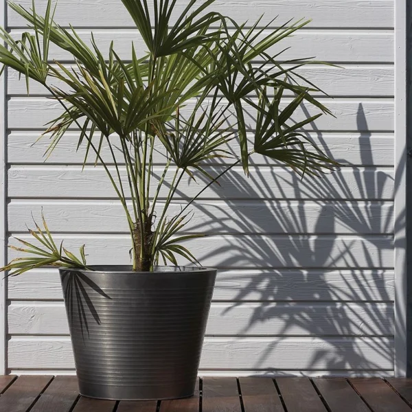 BARDAGE BOIS EPICÉA CLASSE 3.1 PEINT GRIS LUMIÈRE - RAGNAR 20*123*LONG.DISPONIBLE - Packshot2 img