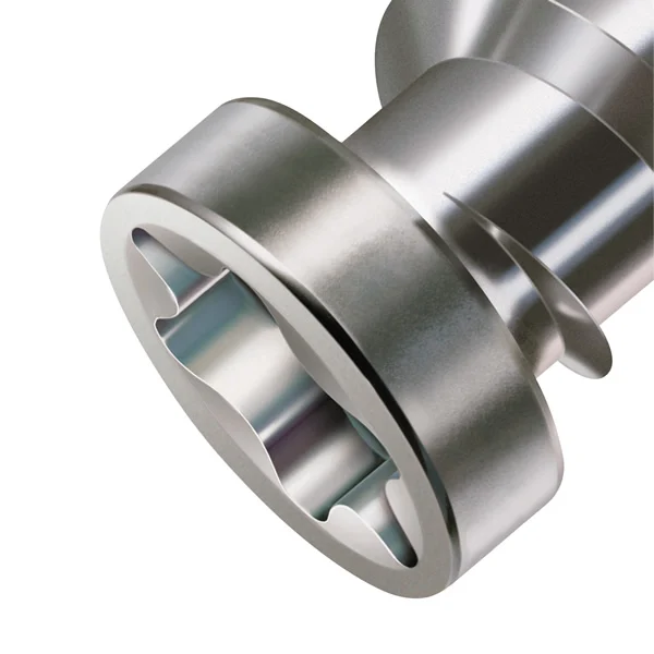INOX A2 ANTIQUE - VIS TERRASSE EN BOIS DURS 5 X 50 MM FILETAGE DE FIXATION TÊTE RÉDUITE CYLINDRIQUE T25 POINTE CUT INOX A2 ANTIK SPAX® BOITE DE 200 VIS. 5*50 - Ambiance3 img