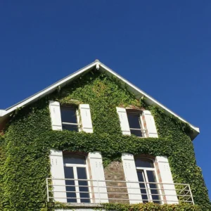 PLANCHE DE RIVE BOIS EPICÉA NATUREL - BORD DROIT 20*220*LONG.DISPONIBLE - Packaging img