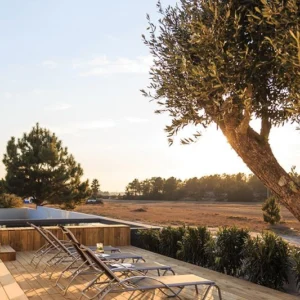 TERRASSE BOIS PIN SYLVESTRE CLASSE 4 BRUN - 2 FACES LISSES 27*145*LONG.DISPONIBLE - Ambiance3 img