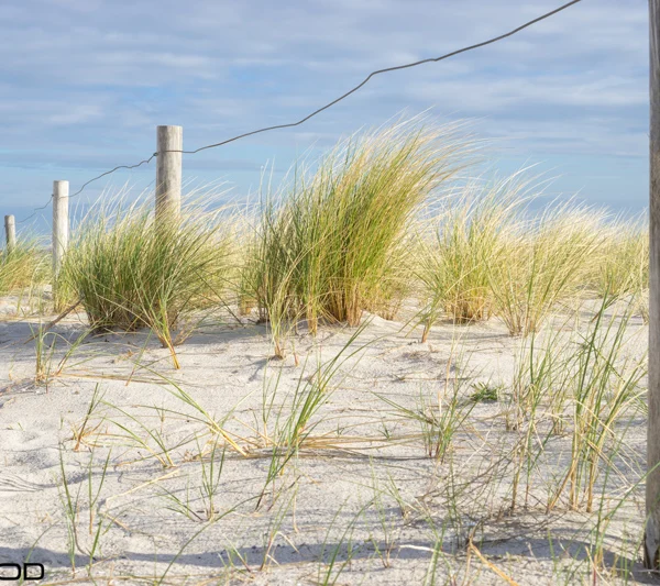 RONDIN BOIS CHÂTAIGNIER CLASSE 4 NATUREL - 100*2500 - Ambiance1 img