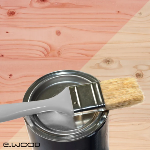 TRAITEMENT DES COUPES BOIS ROSE DOUGLAS - POT 1 KG - Packshot1 img