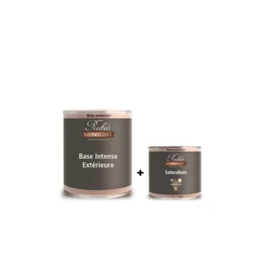 RUBIO MONOCOAT BASE INTENSE (POUR SATURATEUR MONOCOUCHE) TERRASSE ET BARDAGE BOIS BLACK (NOIR) - FLACON 500 ML - Packshot2 img