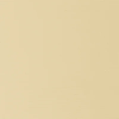 PEINTURE DE RETOUCHE POUR BARDAGE BOIS IVOIRE CLAIR (SIROCCO) - POT 1 KG - Matiere img