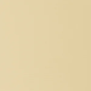 PEINTURE DE RETOUCHE POUR BARDAGE BOIS IVOIRE (SIROCCO) - POT 1 KG - Matiere img