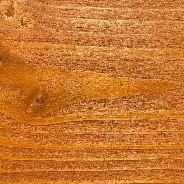 Veinage naturel du bois douglas saturé ton bois miel sur une lame de bardage