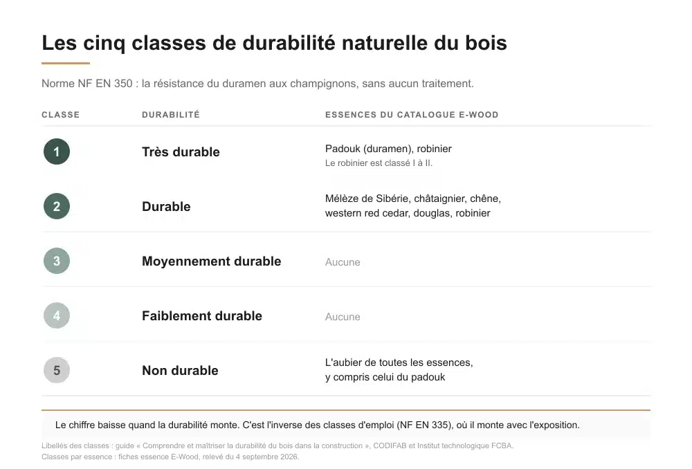 Les cinq classes de durabilité naturelle du bois selon la norme NF EN 350, de très durable à non durable, avec les essences du catalogue E-Wood